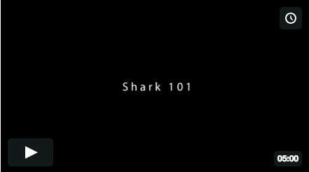 Shark 101